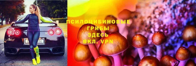 Галлюциногенные грибы MAGIC MUSHROOMS  кракен вход  Инза 